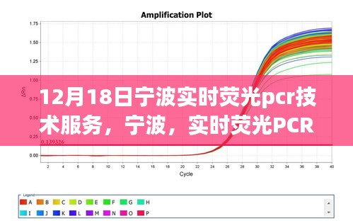 寧波實時熒光PCR技術服務，先鋒探索引領未來，深遠影響鑄就傳奇