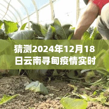 疫情下的云南尋甸之旅，探尋自然美景與內心平靜，預測未來疫情實時動態