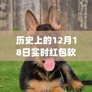 歷史上的12月18日實時紅包軟件使用指南，初學者與進階用戶通用指南