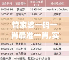 管家婆一碼一肖最準一肖,實地數據驗證策略_精英版4.199