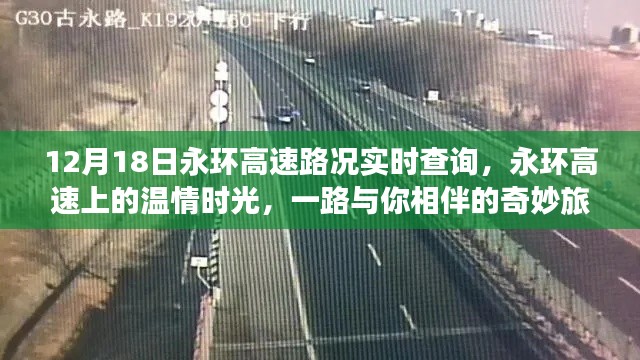 永環高速路況實時更新，溫情時光下的奇妙旅程
