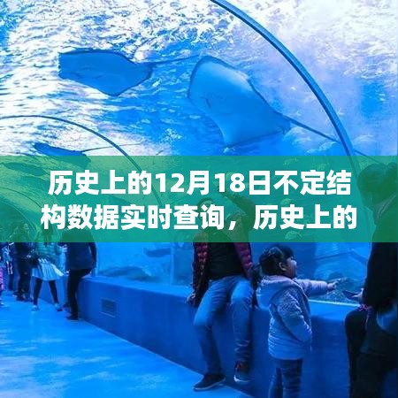 歷史上的今天，數(shù)據(jù)實(shí)時(shí)查詢的歷程與成就，共舞于12月18日的自信與成就日