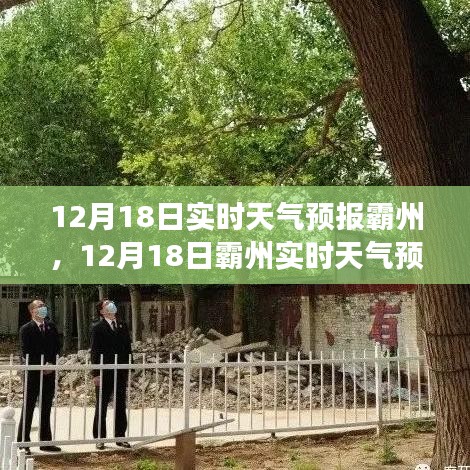 霸州綠色之旅，尋找內心平靜的天氣預報之旅（12月18日實時更新）