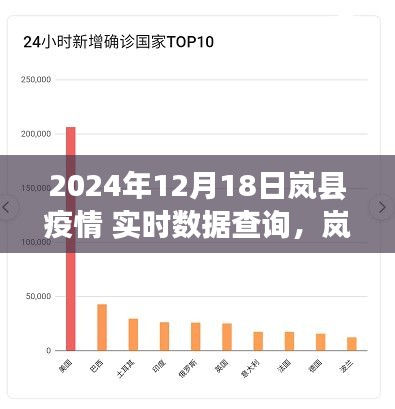 嵐縣疫情實(shí)時數(shù)據(jù)查詢指南，初學(xué)者與進(jìn)階用戶適用的步驟指南（截至2024年12月18日）