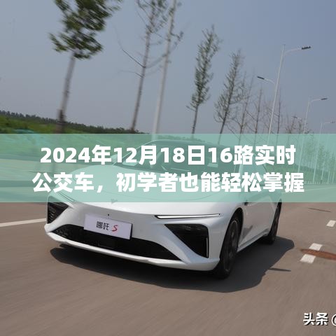 初學者也能輕松掌握，乘坐2024年12月18日16路實時公交車詳細步驟指南