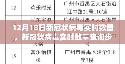 12月18日新冠狀病毒實時數量查詢指南，初學者與進階用戶適用