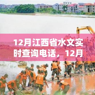 個人觀點
