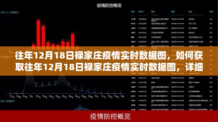 往年12月18日祿家莊疫情實時數據圖獲取指南及詳細步驟解析