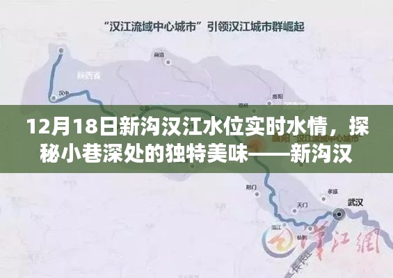 探秘新溝漢江水位變遷中的美食寶藏，水位實時報告與隱藏美味發現