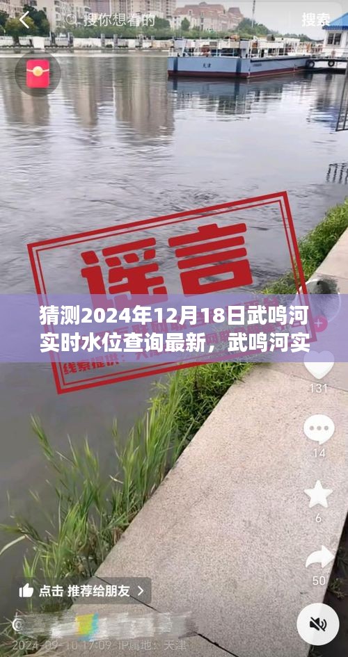 探尋武鳴河未來水位變遷，實時水位查詢預測最新動態(tài)（2024年12月18日更新）