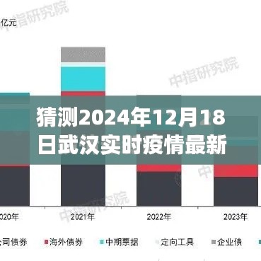 聚焦武漢疫情，實時通報最新動態(tài)與未來展望（預測至2024年12月）