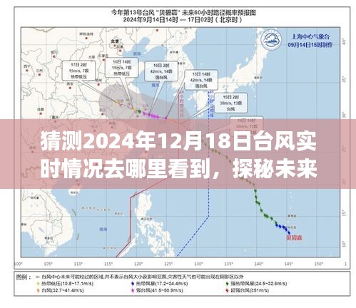 指尖掌控未來天氣，揭秘2024年臺風實時追蹤與預測