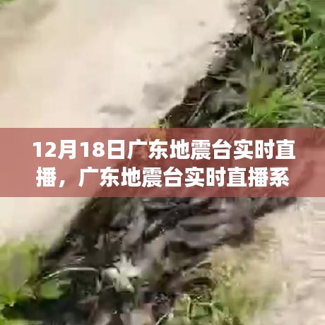 廣東地震臺實時直播系統，科技前沿守護生活，實時掌握地震動態
