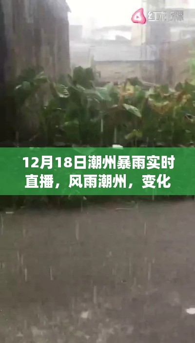 潮州暴雨下的成長與希望，風雨中的學習之旅