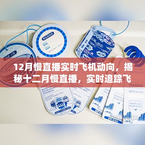 實時追蹤飛機