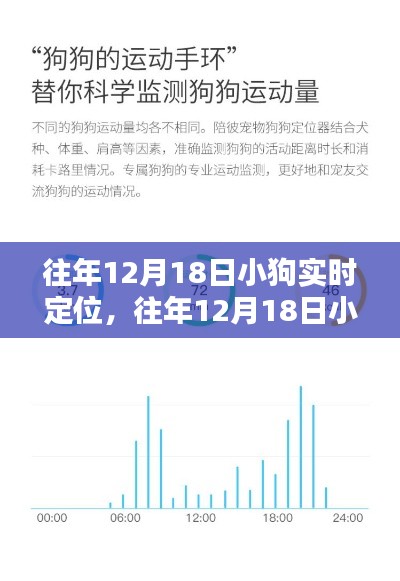 小狗實(shí)時(shí)定位產(chǎn)品全面評測與介紹，歷年12月18日回顧分析