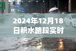 積水路段實時監控圖，城市積水治理的新視角