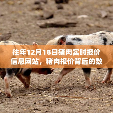 豬肉報價背后的數字魔法，學習變化，成就夢想之路