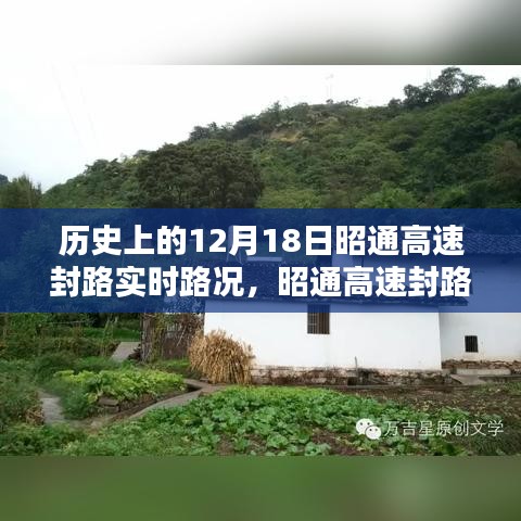 下馬看花 第3頁