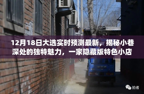 特色小店揭示，大選實時預測之旅，小巷深處的獨特魅力展現
