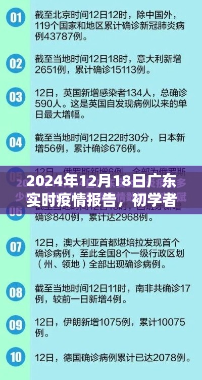 廣東實(shí)時(shí)疫情報(bào)告詳解，初學(xué)者指南與步驟解析（2024年12月版）