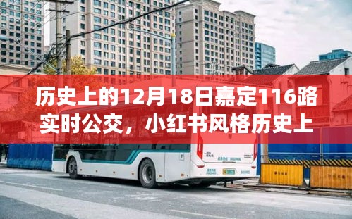 揭秘歷史中的某一天，嘉定公交116路實時軌跡與故事回顧（小紅書風格）