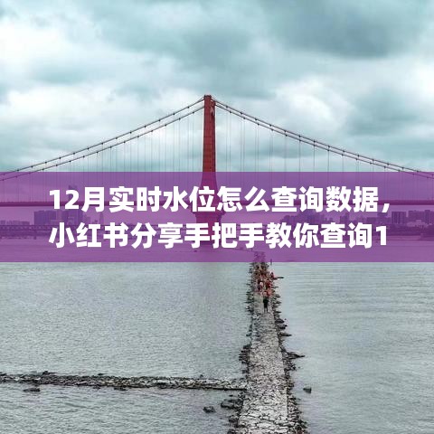 小紅書教程，手把手查詢12月實時水位數據，輕松掌握水位動態??