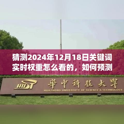 如何預測與解讀2024年12月18日關鍵詞實時權重，步驟指南與猜測策略分析