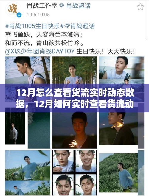 詳解，如何實時查看貨流動態(tài)數(shù)據(jù)的方法和技巧（12月版）