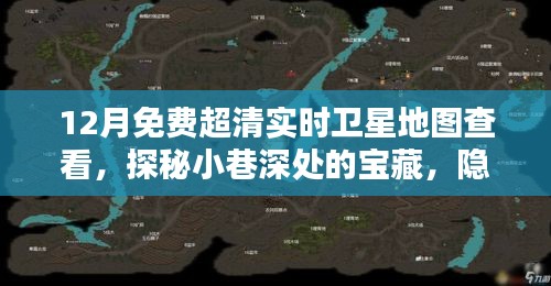 探秘衛星地圖寶藏，免費超清實時查看，發現小巷深處的神秘小店