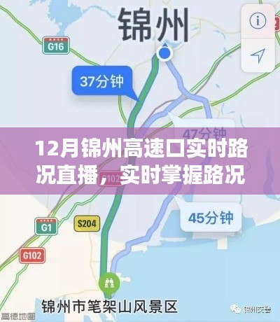 寥若晨星 第3頁