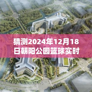 朝陽公園籃球盛宴，實戰(zhàn)體驗與預測，享受籃球盛宴的絕佳指南（2024年12月18日）
