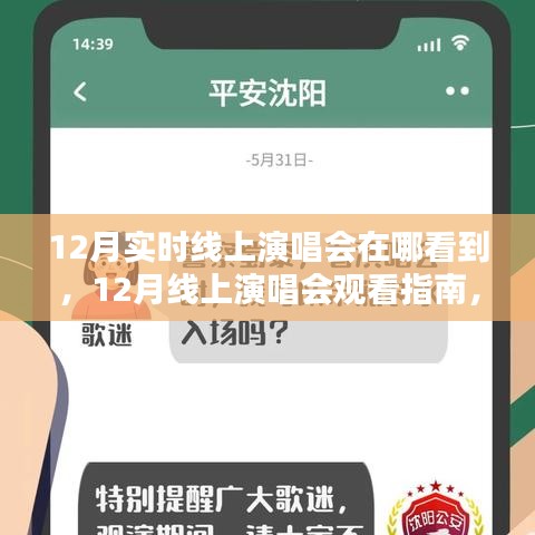 12月線上演唱會觀看指南，尋找最佳觀演體驗的途徑