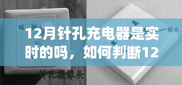 12月針孔充電器實(shí)時(shí)性解析，從初學(xué)者到進(jìn)階用戶的完全指南