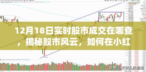 揭秘股市風(fēng)云，如何在小紅書上追蹤股市動態(tài)，掌握最新成交信息（以12月18日為例）