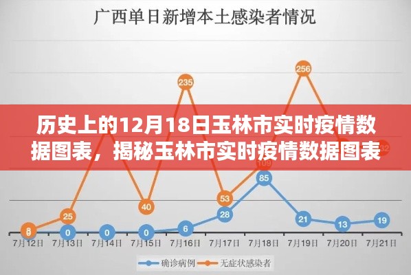 歷史上的12月18日玉林市疫情數(shù)據(jù)圖表深度解析，實(shí)時(shí)數(shù)據(jù)與趨勢(shì)分析