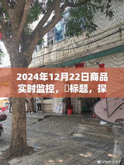 探秘小巷深處的寶藏，特色商品實時監(jiān)控小店在行動