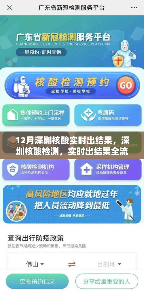 深圳核酸檢測全流程指南，實時出結果，初學者與進階用戶必看