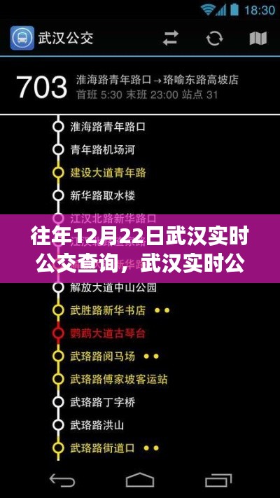 往年12月22日武漢實時公交查詢攻略，輕松掌握公交動態(tài)