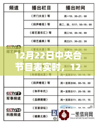 12月22日中央臺節目表實時解析，精彩節目安排一覽