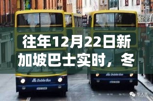 冬日奇遇，新加坡巴士上的暖心時光紀實（12月22日實時）