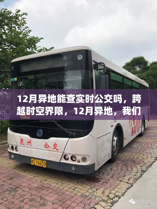 12月異地實時公交查詢，跨越時空界限，掌握動態(tài)成就自信與夢想