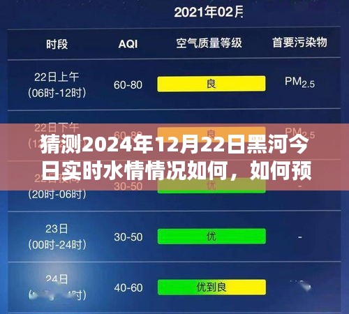 黑河今日實(shí)時(shí)水情預(yù)測與未來趨勢分析，初學(xué)者與進(jìn)階用戶指南（猜測2024年12月22日水情）