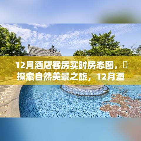 12月酒店客房實時房態圖，自然美景之旅，探尋內心的寧靜與微笑之旅