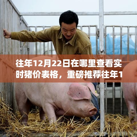 往年12月22日實時豬價表格全攻略，洞悉市場變化，輕松掌握豬價動態（小紅書推薦）