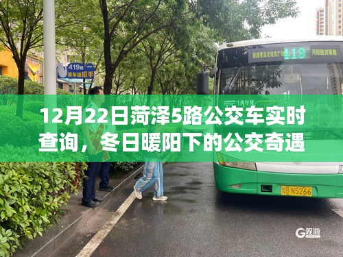 菏澤5路公交車冬日實時查詢，公交上的友情時光與冬日暖陽下的奇遇