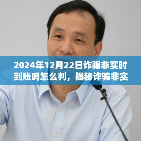 揭秘詐騙非實(shí)時(shí)到賬處理方式，識(shí)別與應(yīng)對(duì)詐騙行為的指南（2024年最新）