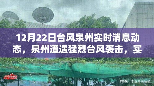 泉州遭遇猛烈臺風襲擊，實時消息動態與深遠影響分析（12月22日臺風更新）