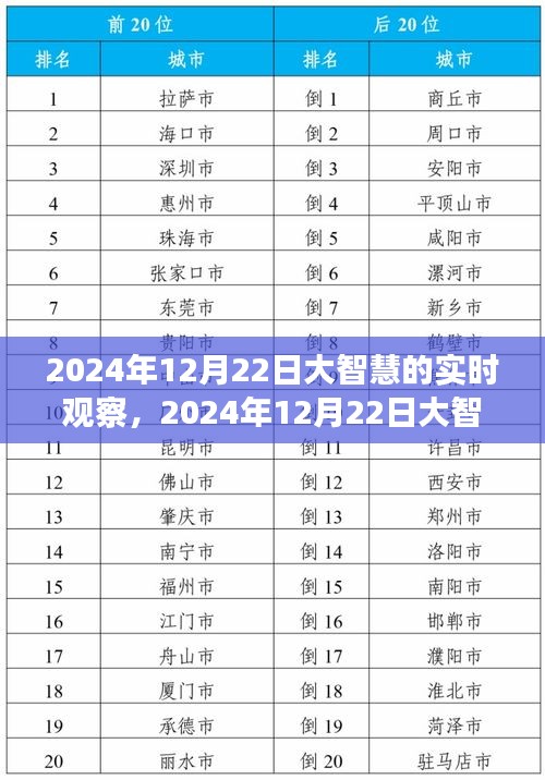 大智慧實時觀察，科技、人文與未來的交融（2024年12月22日觀察報告）