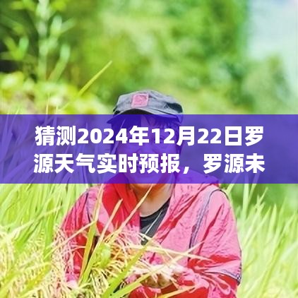 羅源天氣預報，探索變化中的學習，自信成就之源的未來氣象預測（2024年12月22日實時更新）